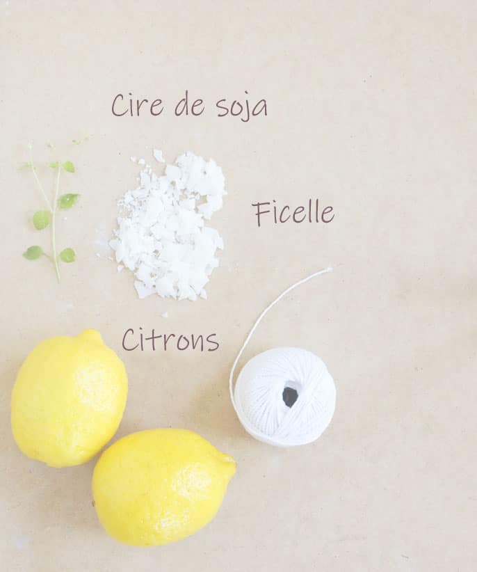 ingredient-bougie-anti-moustique-diy