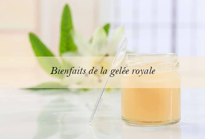 bienfaits-gelee-royale