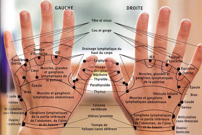 réflexologie main