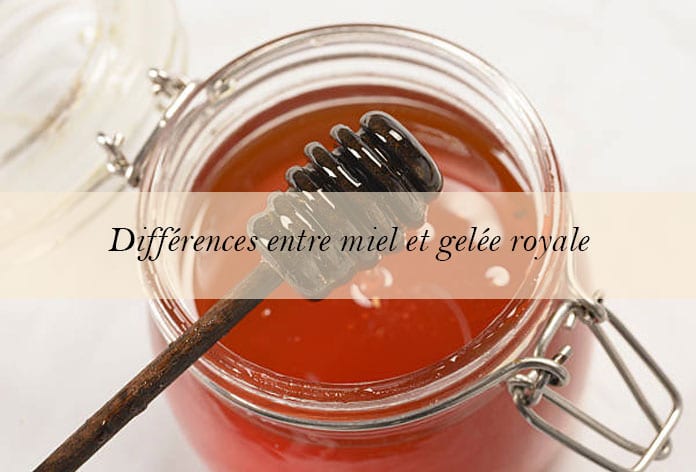 difference-miel-gelee-royale