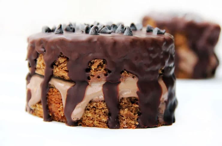 delicieux-gateau-chocolat-vegan