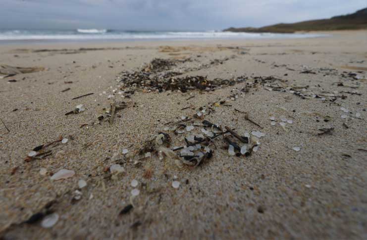 probleme-pollution-biles-plastique-plage