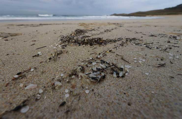 probleme-pollution-biles-plastique-plage