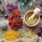 comment-fonctionne-regime-a-base-de-plantes