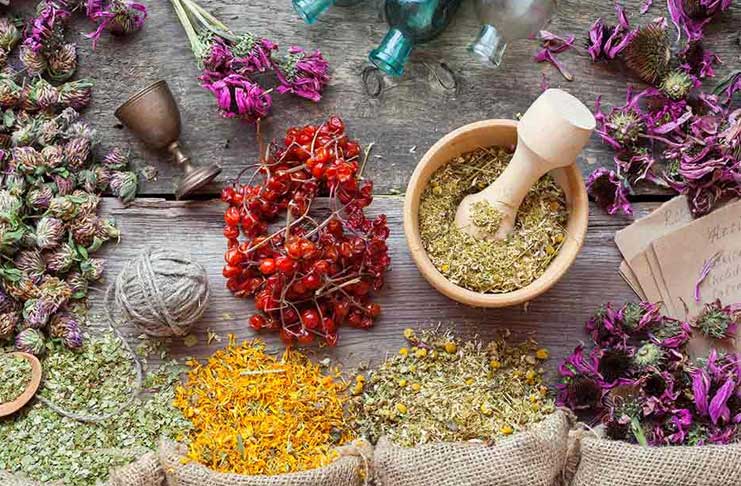 comment-fonctionne-regime-a-base-de-plantes