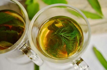 comment-faire-une-infusion-cbd