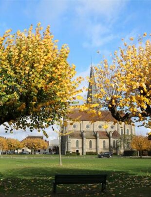 decouvrir-seine-et-marne-ete-famille